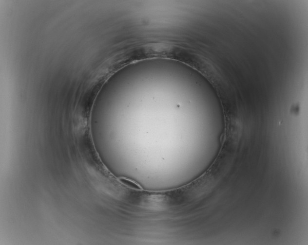 X0000115620324200911101421