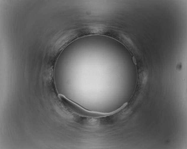 X0000115620325200911101421