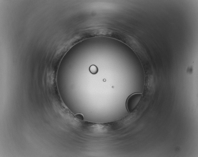 X0000115620326200911101421