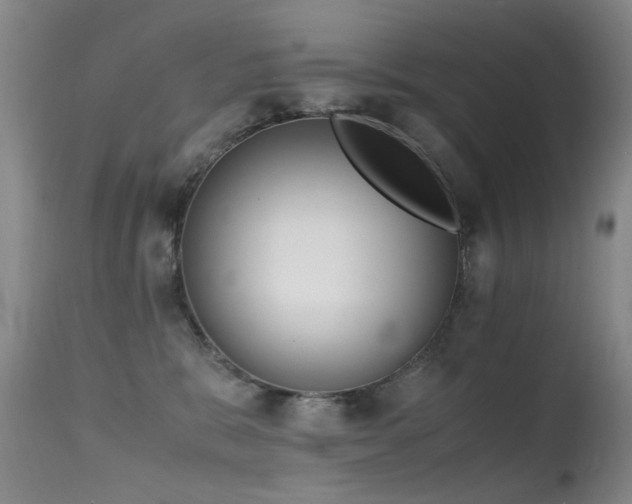 X0000115620327200911101421