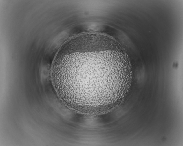 X0000115620328200911101421