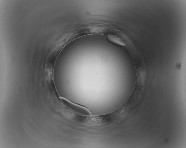 X0000115620329200911101421