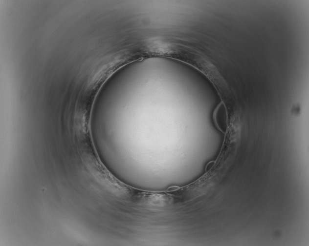 X0000115620330200911101421