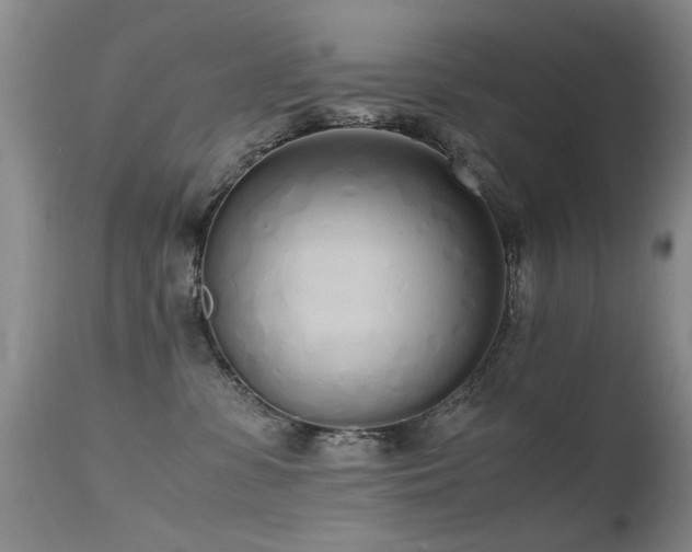 X0000115620331200911101421