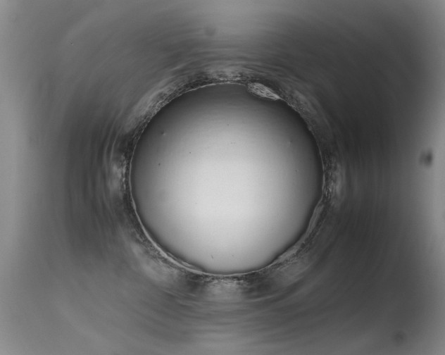 X0000115620332200911101421