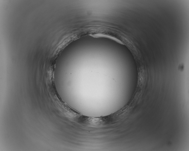 X0000115620333200911101421