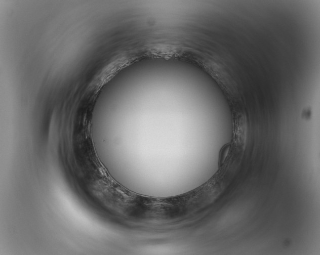 X0000115620334200911101421