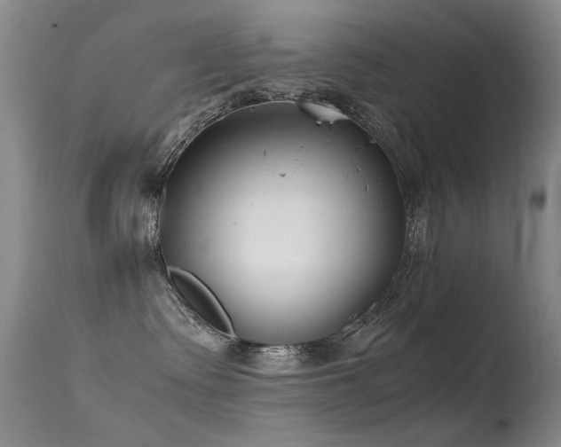 X0000115620335200911101421