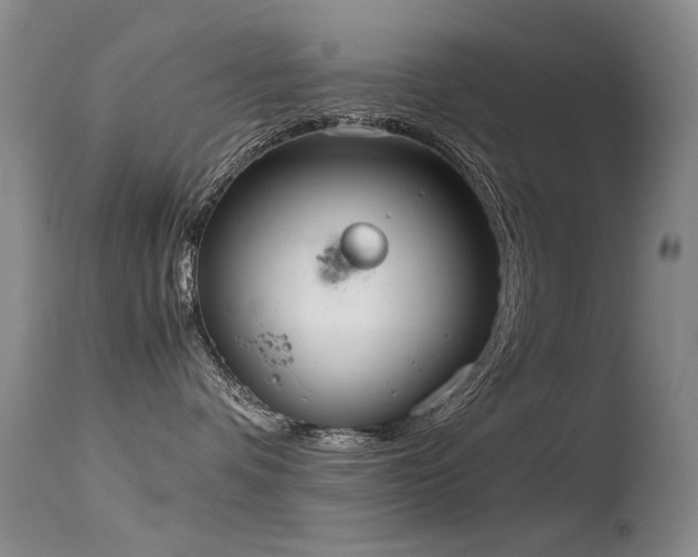 X0000115620336200911101421