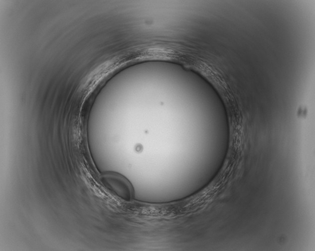 X0000115620338200911101420