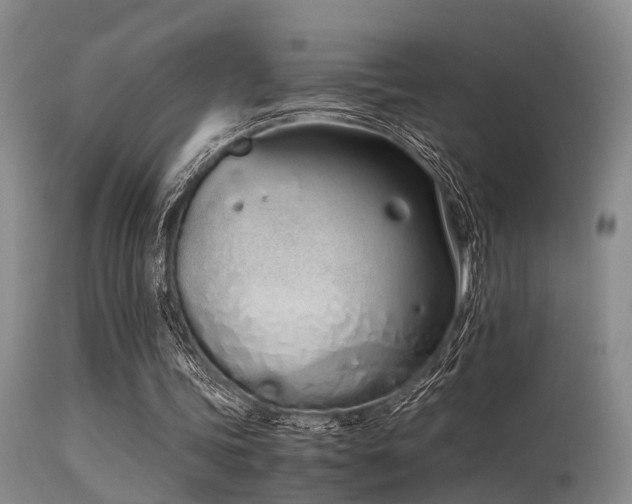 X0000115620339200911101420