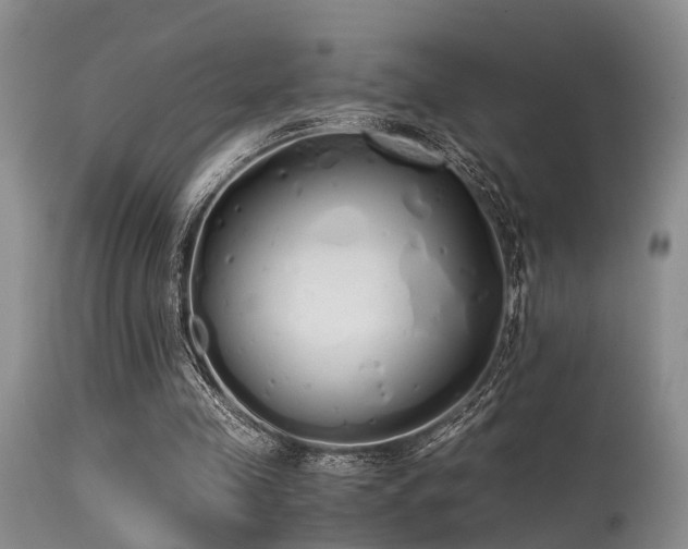 X0000115620341200911101420