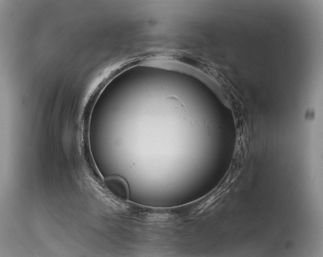 X0000115620342200911101420