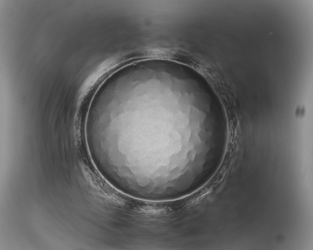 X0000115620343200911101420