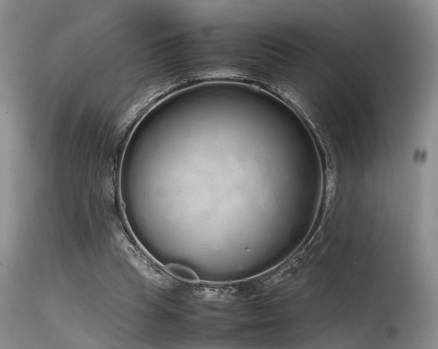 X0000115620345200911101420