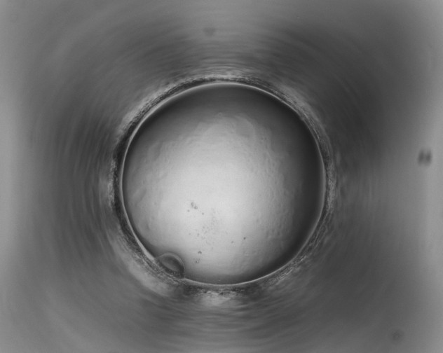 X0000115620346200911101420