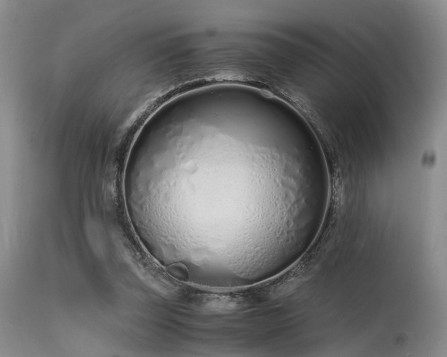 X0000115620347200911101420