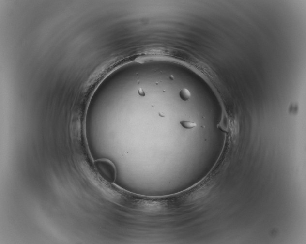 X0000115620349200911101420