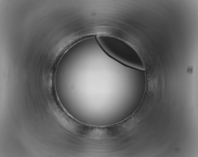 X0000115620350200911101420