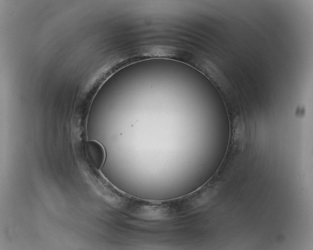 X0000115620351200911101420