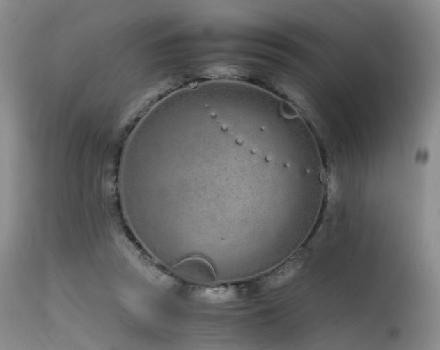 X0000115620353200911101420