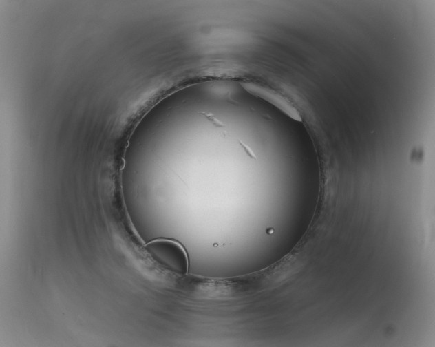 X0000115620354200911101420