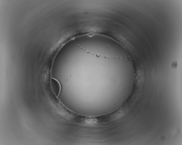 X0000115620355200911101420