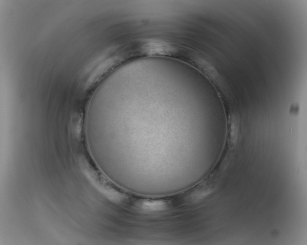 X0000115620357200911101420