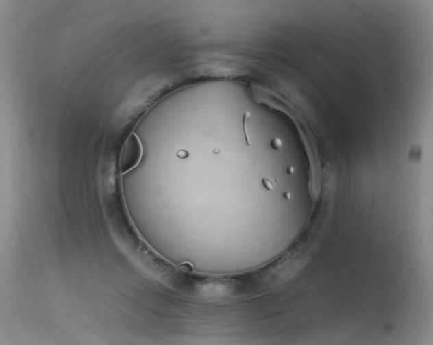 X0000115620358200911101420