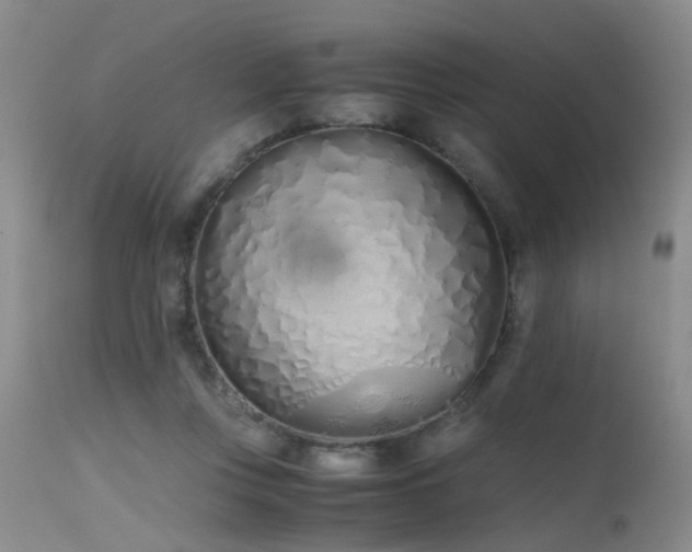 X0000115620359200911101420