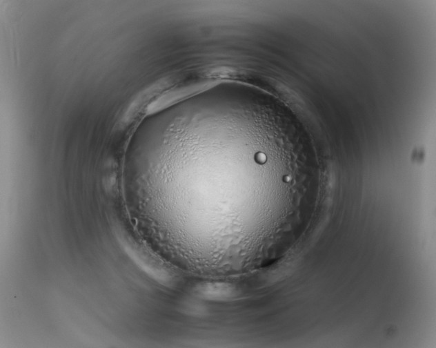 X0000115620361200911101420