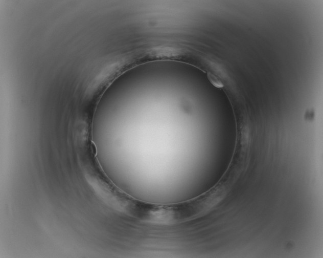 X0000115620362200911101420