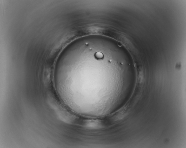 X0000115620363200911101420