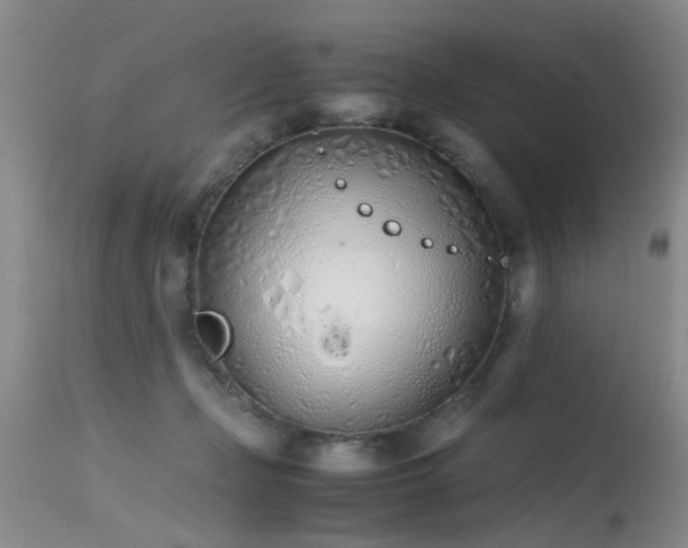 X0000115620365200911101420