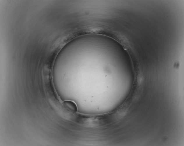 X0000115620366200911101420