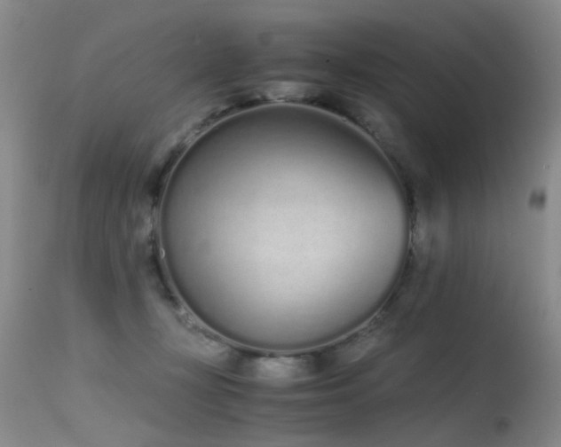 X0000115620367200911101420