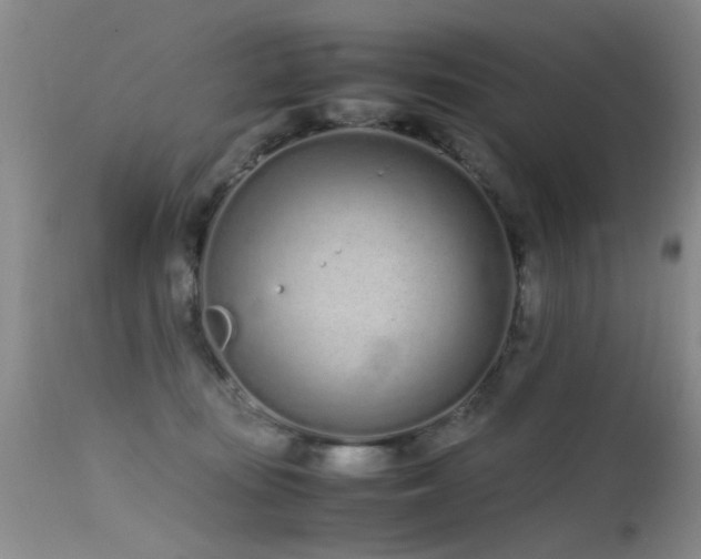 X0000115620371200911101420