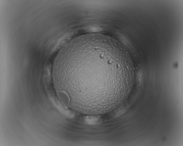 X0000115620373200911101420