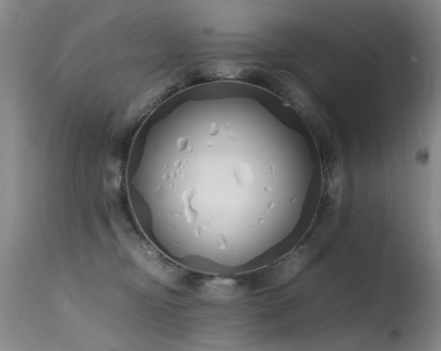 X0000115620374200911101420