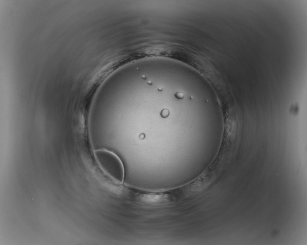 X0000115620375200911101420