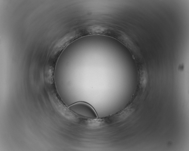 X0000115620378200911101420