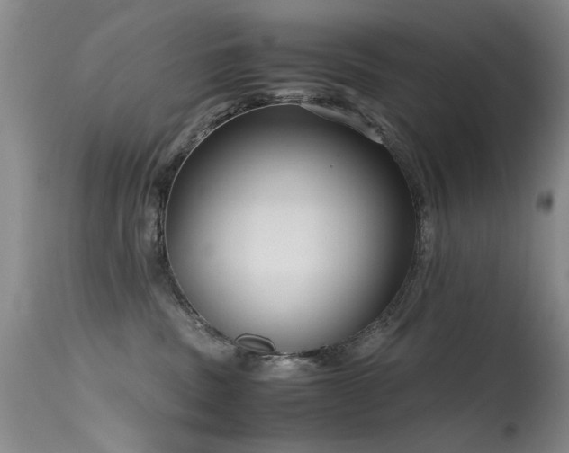 X0000115620379200911101420