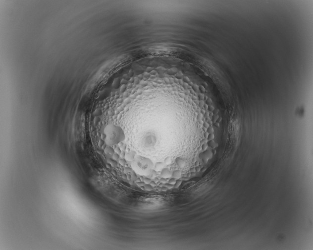 X0000115620381200911101420