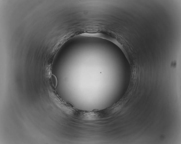 X0000115620383200911101421