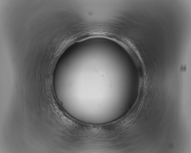 X0000115620385200911101420