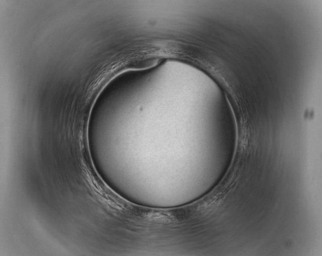 X0000115620386200911101420