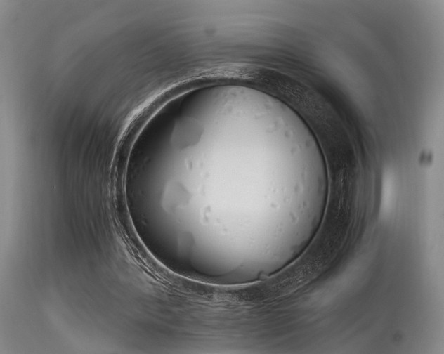 X0000115620388200911101420