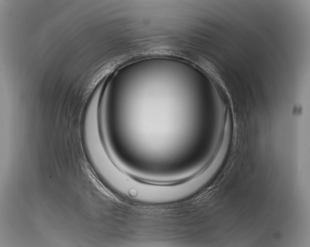 X0000115620389200911101420