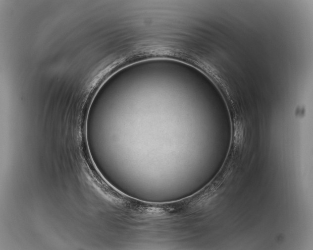 X0000115620390200911101420