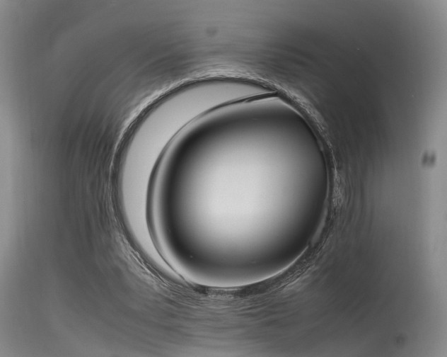 X0000115620391200911101420